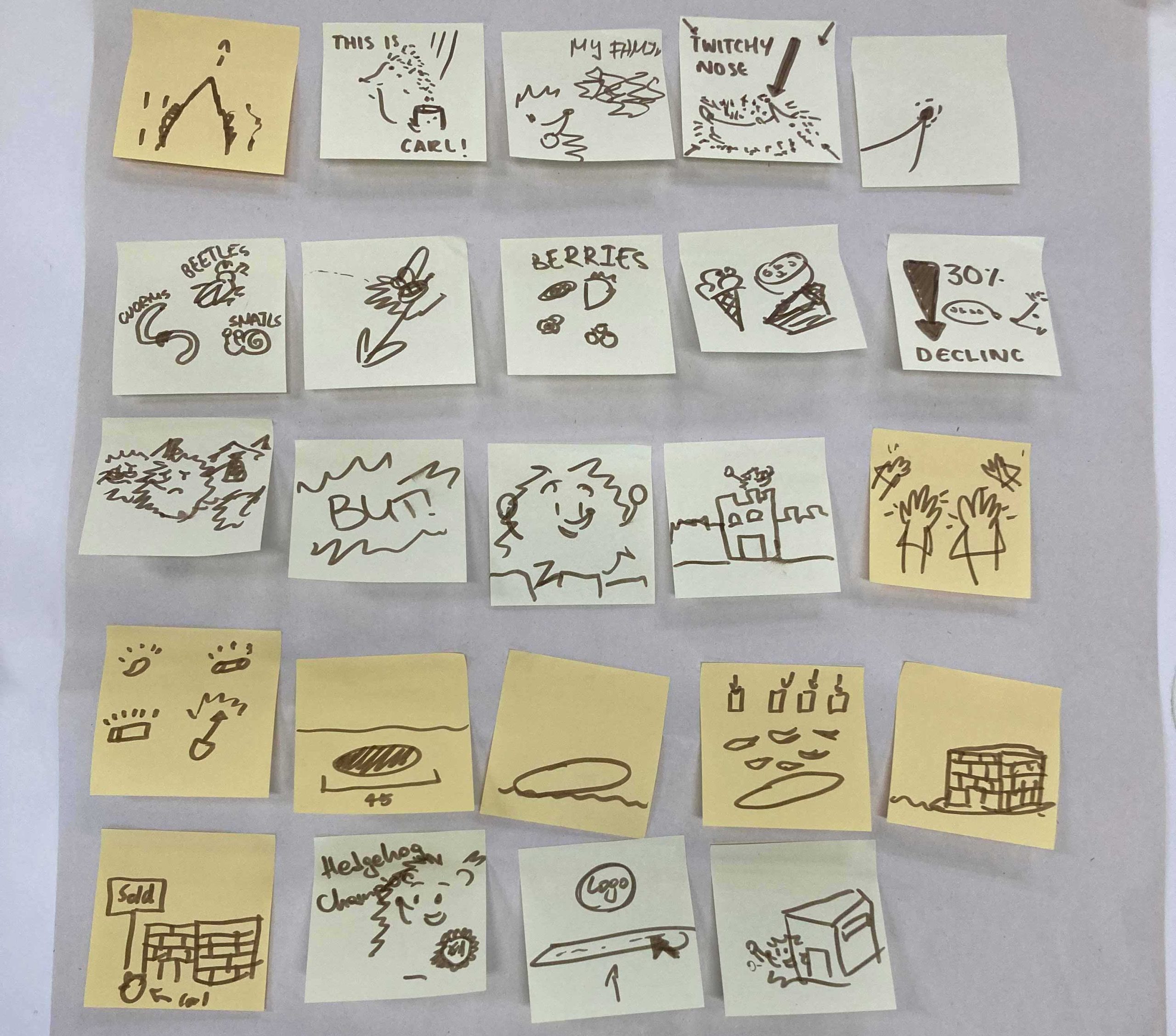 storyboard-individual